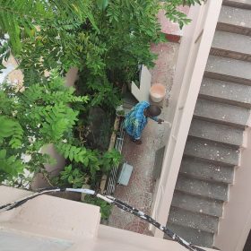 WhatsApp Image 2025-12-08 at 6.36.03 PM